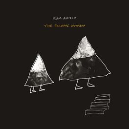 Album cover of The Following Mountain
