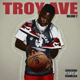 Album cover of Troy Ave, Vol. 2