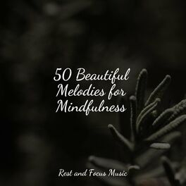 Album cover of 50 Beautiful Melodies for Mindfulness