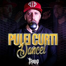 Album cover of Pulei Curti Dancei