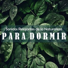 Album cover of Sonidos Relajantes de la Naturaleza Para Dormir
