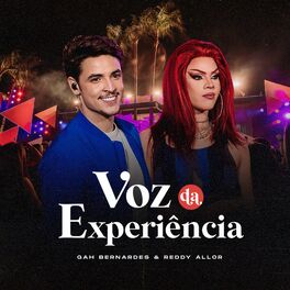 Album cover of Voz da Experiência