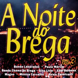 Album cover of A Noite do Brega, Vol. 3