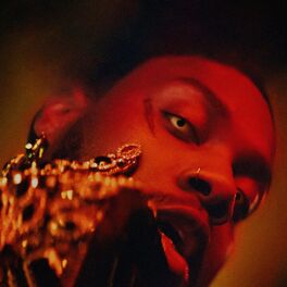 Album cover of Damn Gloves