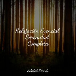 Album cover of Relajación Esencial Serenidad Completa