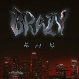 Album cover of Brazy