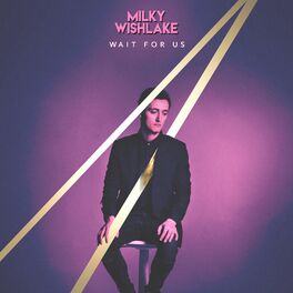 Album cover of Wait For Us