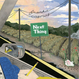 Album cover of Next Thing