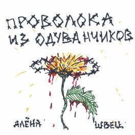 Album cover of Проволока из одуванчиков