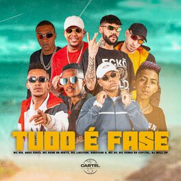 Album cover of Tudo é Fase