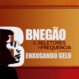 Album cover of Enxugando Gelo