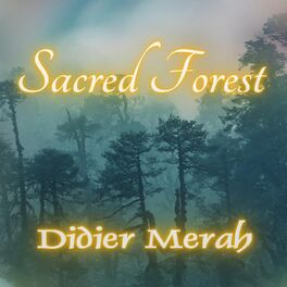 Album cover of Sacred Forest