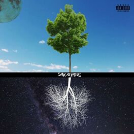 Album cover of Sincerious