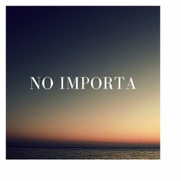 Album cover of no importa