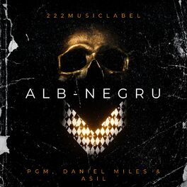 Album cover of Alb Negru