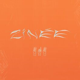 Album cover of 313