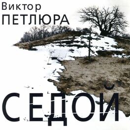 Album cover of Седой