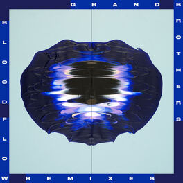 Album cover of Bloodflow Remixes