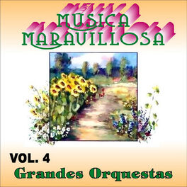 Album cover of Música Maravillosa Vol. 4