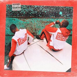 Album cover of Swervo