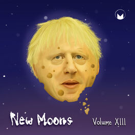 Album cover of New Moons Vol. XIII