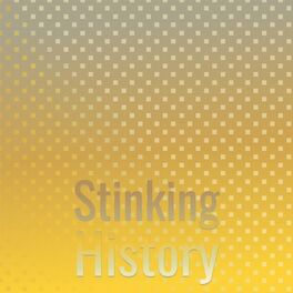 Album cover of Stinking History