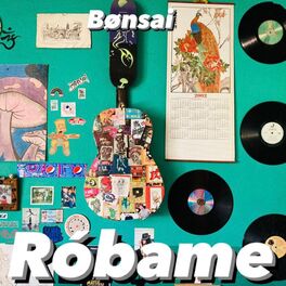 Album cover of Róbame