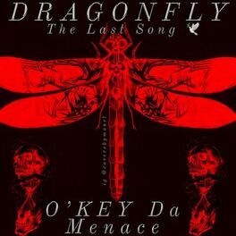 Album cover of DragonFly (The Last Song) (feat. Shaman's Harvest)