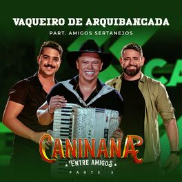 Album cover of Vaqueiro de Arquibancada