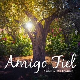 Album cover of Amigo Fiel