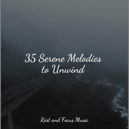 Album cover of 35 Serene Melodies to Unwind