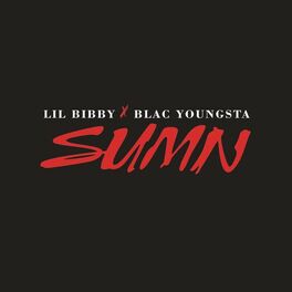 Album cover of Sumn (feat. Blac Youngsta)