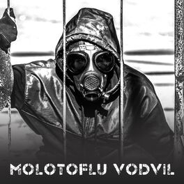 Album cover of Molotoflu Vodvil (feat. Ağaçkakan)