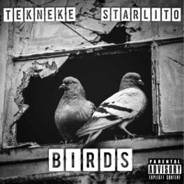 Album cover of Birds (feat. Starlito & Bigg A)