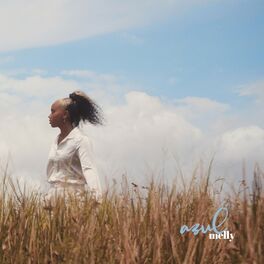 Album cover of Azul