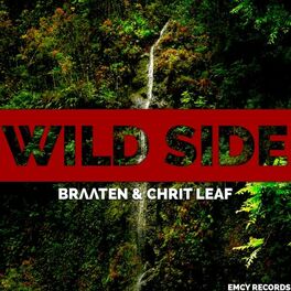 Album cover of Wild Side