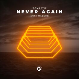 Album cover of Never Again (with MAGNUS)