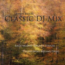 Album picture of Classic DJ Mix - Piano & Orchestra