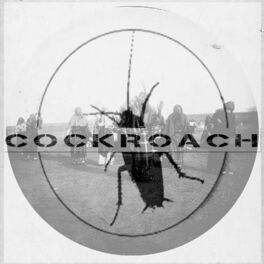 Cockroach: albums, songs, playlists | Listen on Deezer