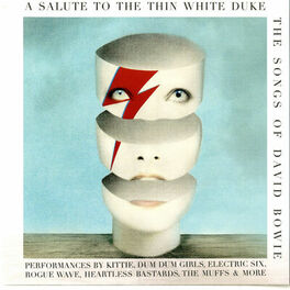 Album cover of A Salute to the Thin White Duke - the Songs of David Bowie