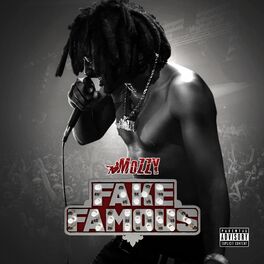 Album cover of Fake Famous