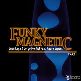 Album cover of Funky Magnetic