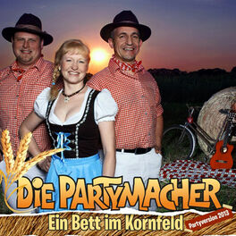 Album cover of Ein Bett im Kornfeld (Partyversion 2013)