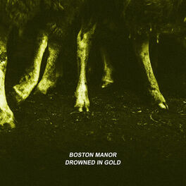 Album cover of Drowned in Gold