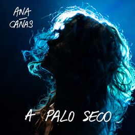 Album cover of A Palo Seco (Radio Edit)