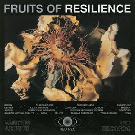 Album cover of Fruits of Resilience