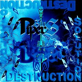 Album cover of Destruction Solution