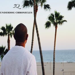 Album cover of Underdog Chronicles