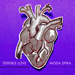 Album cover of Terrible Love