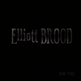 Album cover of Tin Type